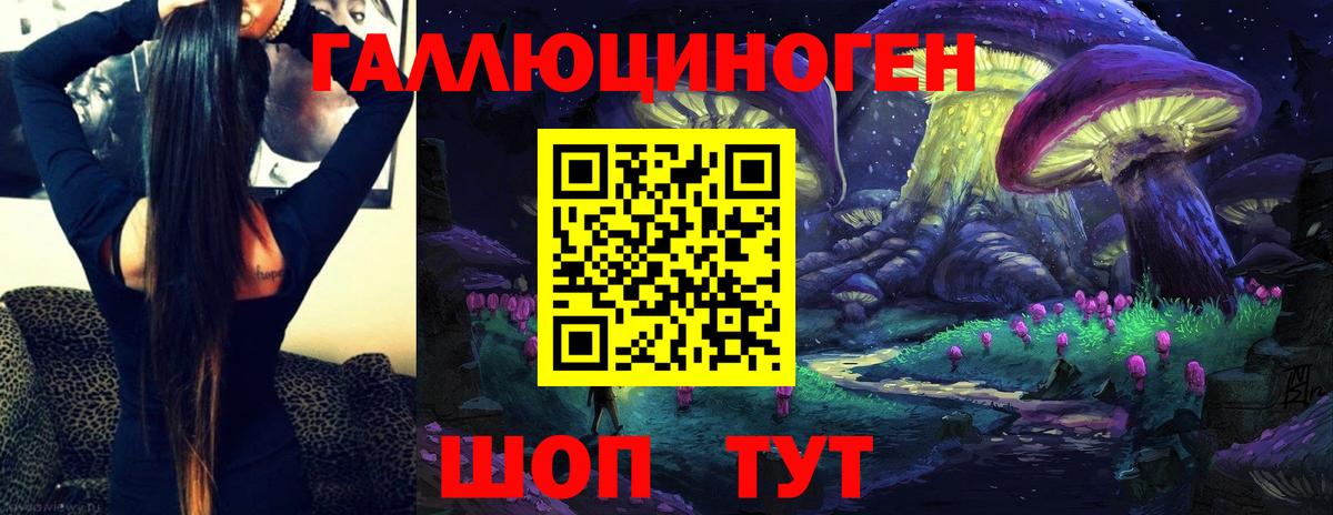 Псилоцибиновые грибы Cubensis  Вход с VPN  Феодосия 